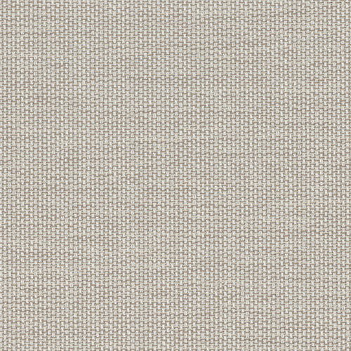 Wilde Render Light Filtering Roller Blind